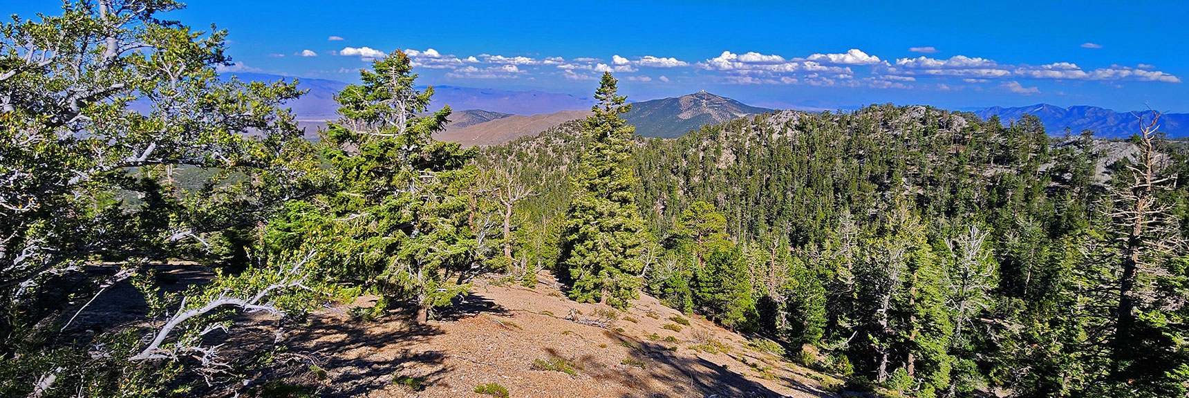 Eastern Ridge to the Right. Rd. 092A to Trailhead Runs Along Left Base of Ridge. | Mummy's Nose Final Summit Approach from Deer Creek Road | Mt. Charleston Wilderness, Nevada