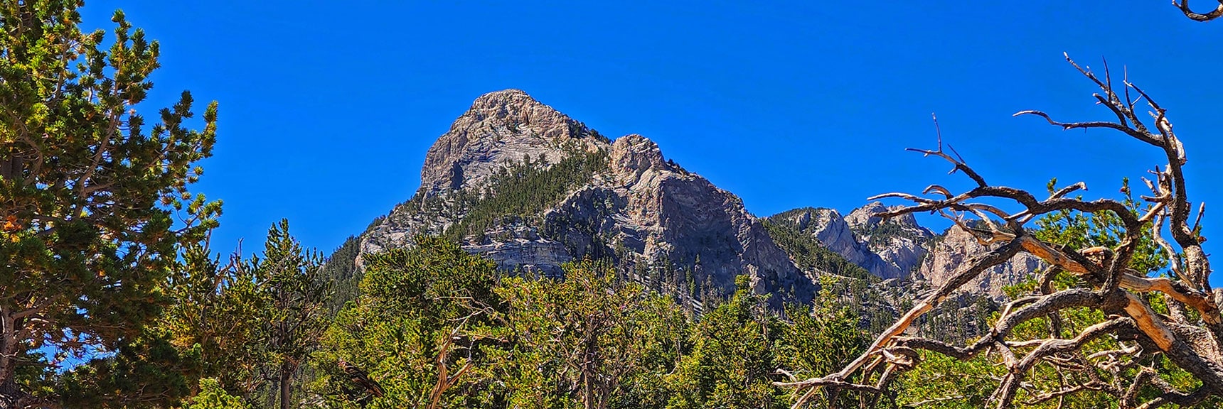 Spectacular 6-7-mile Pristine Alpine Wilderness Circuit Adventure! | Mummy’s Nose North Alpine Loop | Mt Charleston Wilderness, Nevada