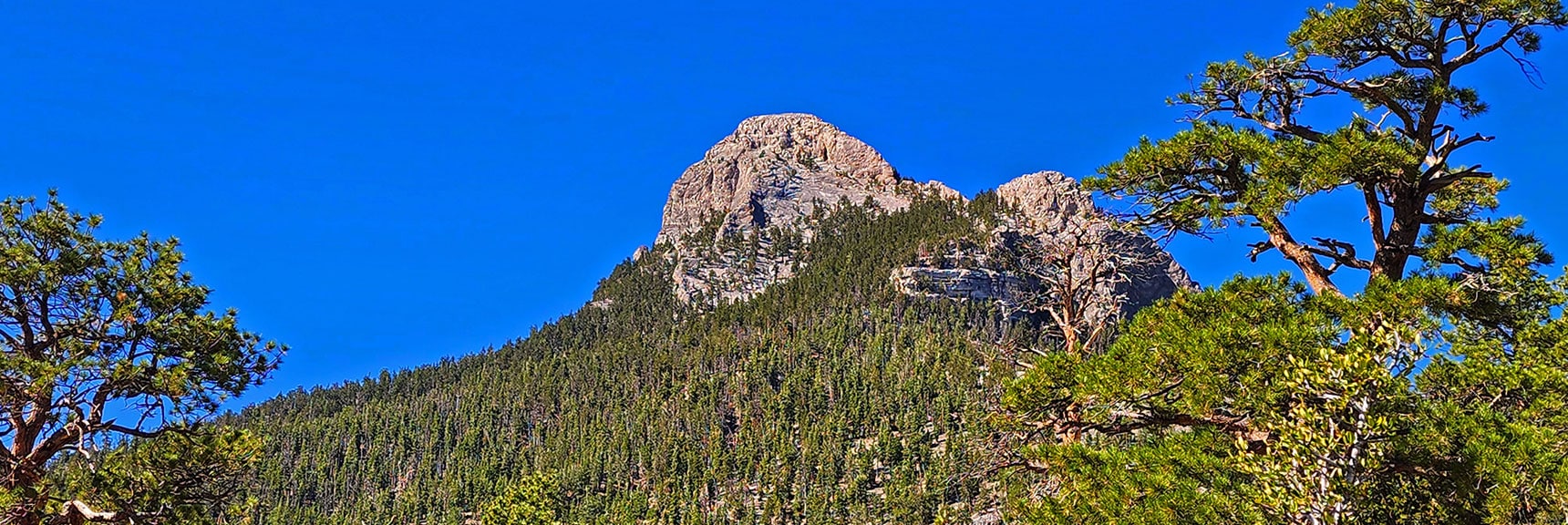 Summit of Gully, Now on Western Ridgeline. Mummy's Nose Again in View. | Mummy’s Nose North Alpine Loop | Mt Charleston Wilderness, Nevada