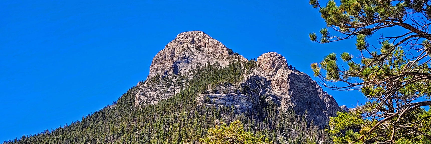 Mummy's Nose from Western Ridgeline. Tree Band Between 2 Heights is Summit Route | Mummy’s Nose North Alpine Loop | Mt Charleston Wilderness, Nevada