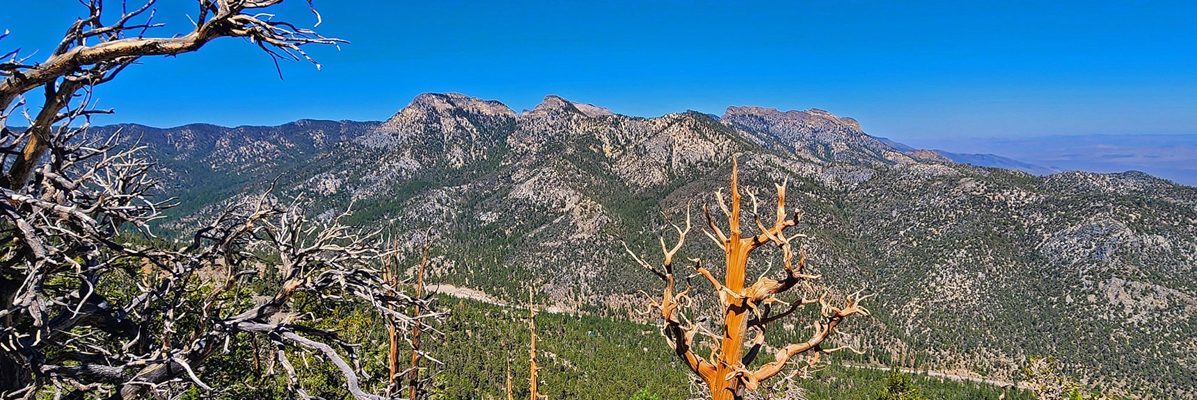View Across Lee Canyon to Sisters, Macks & McFarland Peaks | Mummy’s Nose North Alpine Loop | Mt Charleston Wilderness, Nevada