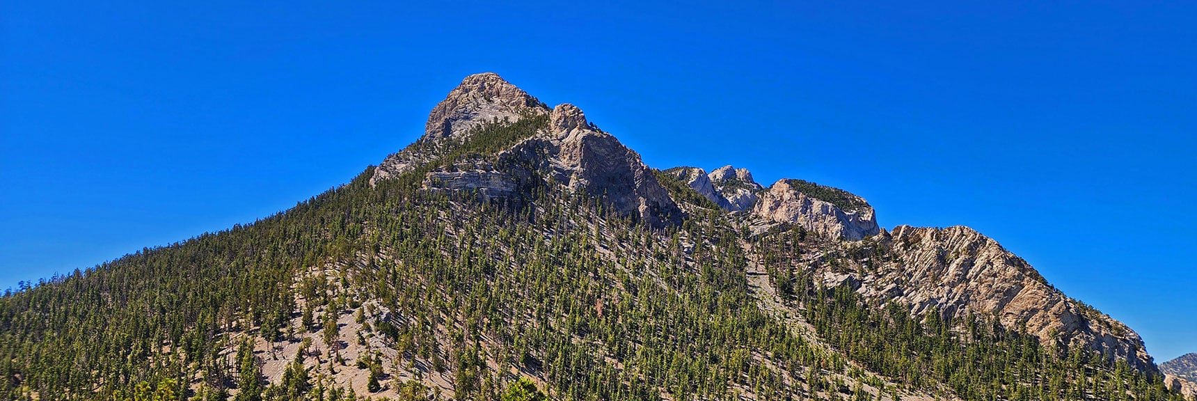 Will Soon Be Looking Over Edge of Lower Cliffs Ahead to Lee Canyon & Beyond | Mummy’s Nose North Alpine Loop | Mt Charleston Wilderness, Nevada