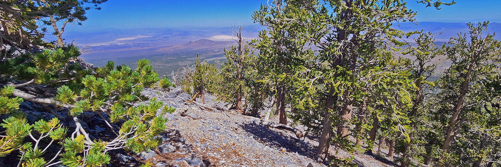 View Back Down the Western Ridgeline. We're Now on That Lower Cliff Area | Mummy’s Nose North Alpine Loop | Mt Charleston Wilderness, Nevada
