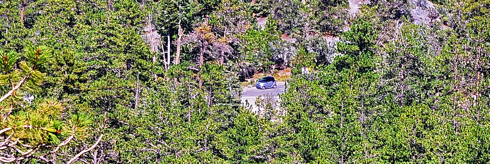 Enlarged View of "The Beast" from 500ft Above Trailhead | Mt Charleston Wilderness, Nevada