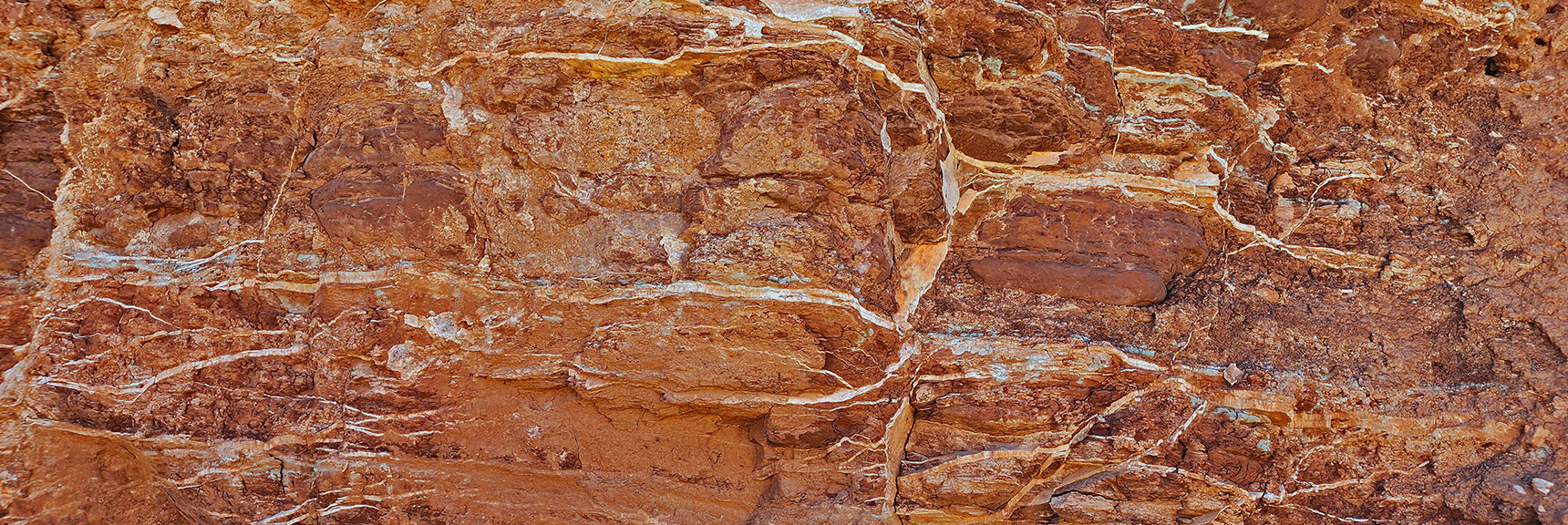 White Marbling in Sandstone is Calcite from Water Seepage. | Northern Bowl of Fire Detailed View | Lake Mead National Recreation Area, Nevada