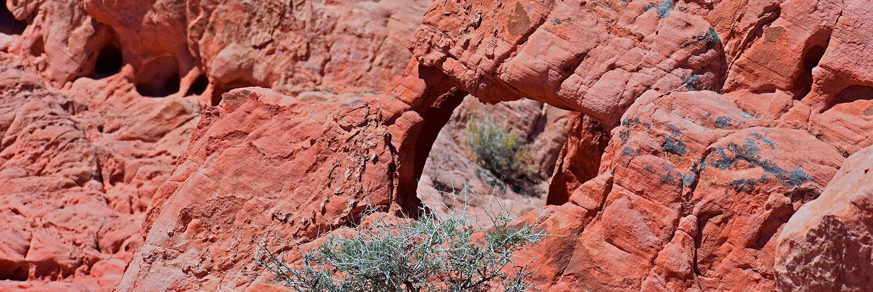 Northern Bowl of Fire Detailed View | Lake Mead National Recreation Area, Nevada