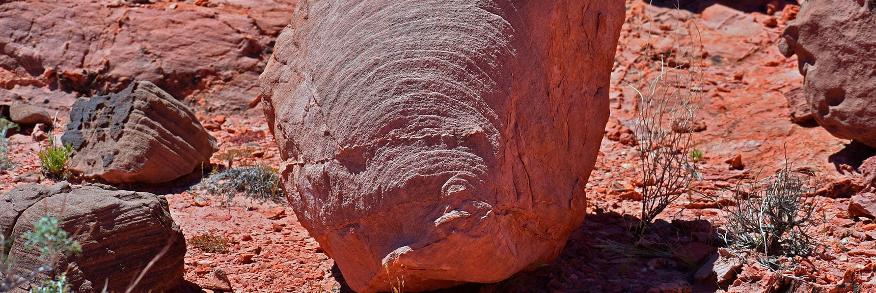 Northern Bowl of Fire Detailed View | Lake Mead National Recreation Area, Nevada