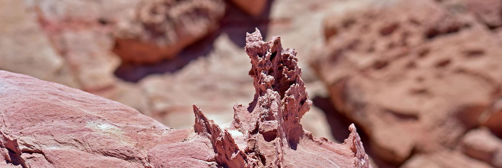 Northern Bowl of Fire Detailed View | Lake Mead National Recreation Area, Nevada