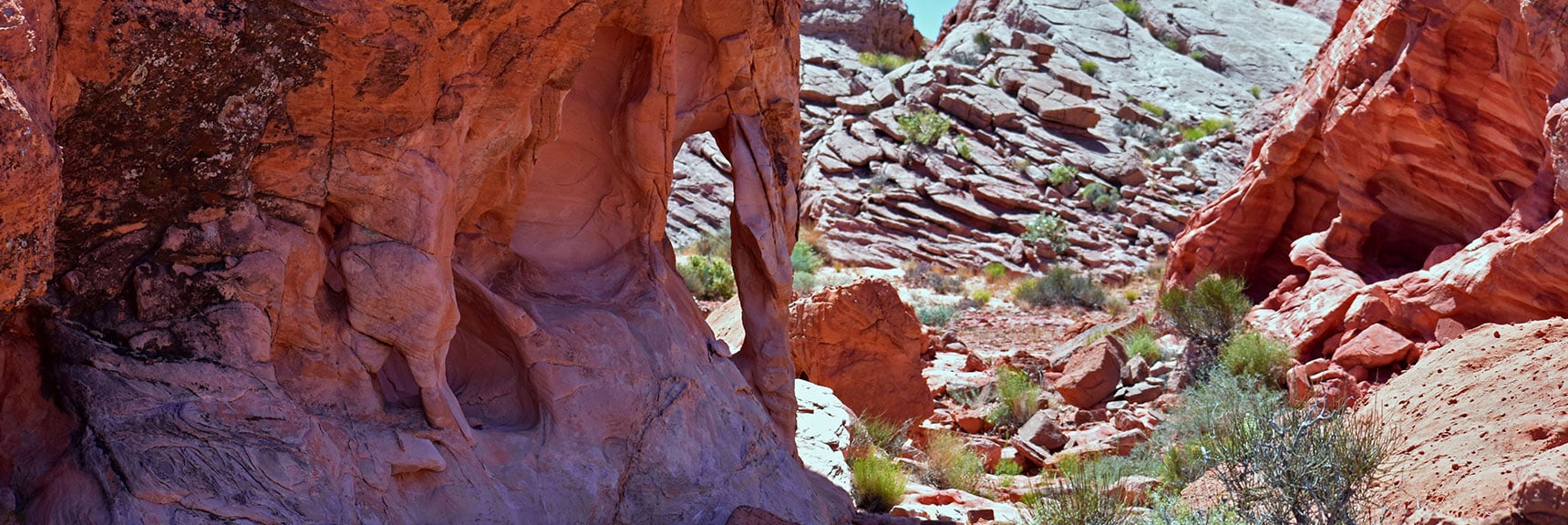 Northern Bowl of Fire Detailed View | Lake Mead National Recreation Area, Nevada
