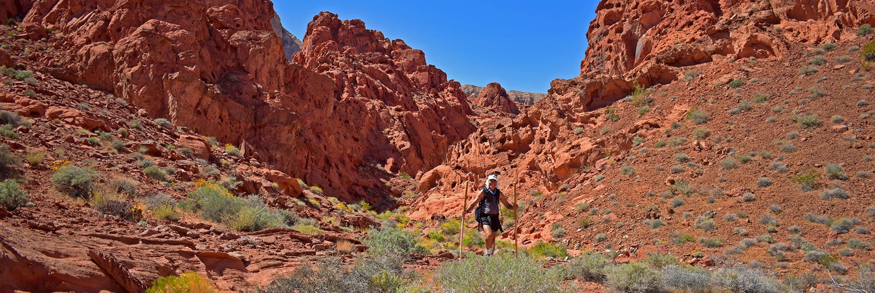 Emerging at the Base of the Northern Bowl Cliffs | Northern Bowl of Fire Detailed View | Lake Mead National Recreation Area, Nevada