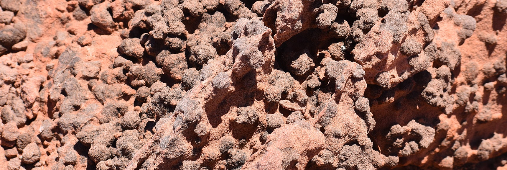 Biological Soil Crusts (Cryptobiotic Soils) Among Earth's Oldest Life Forms | Northern Bowl of Fire Detailed View | Lake Mead National Recreation Area, Nevada