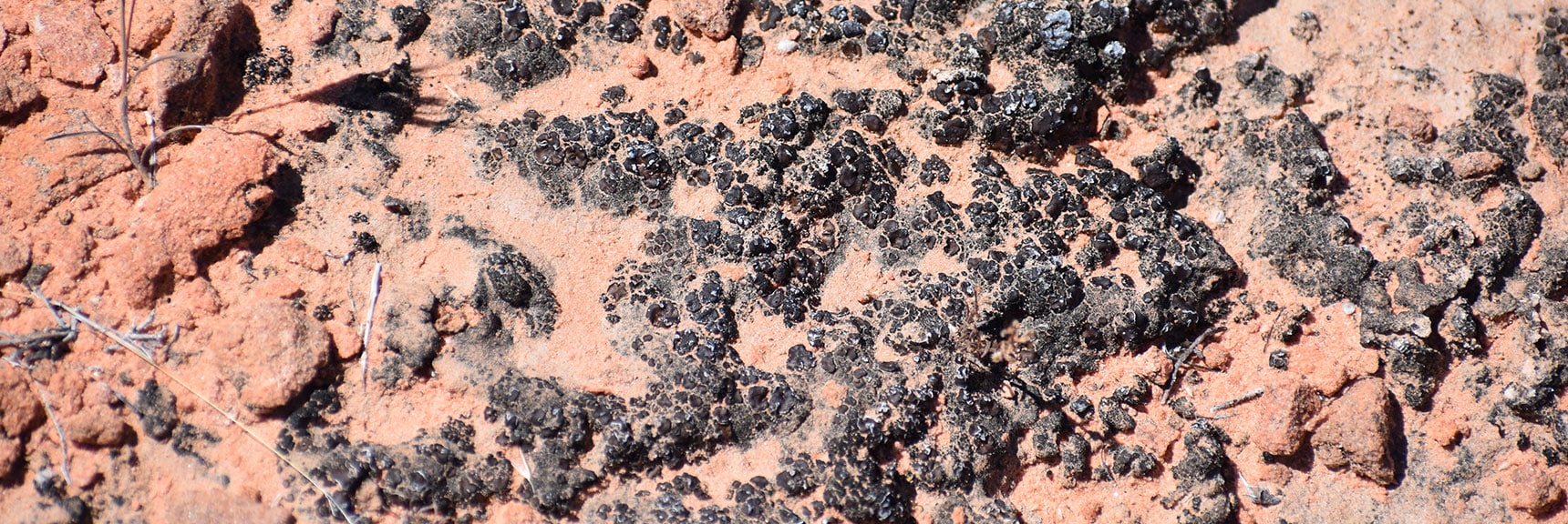 Paved the Way for Earth's First Plant Life. | Northern Bowl of Fire Detailed View | Lake Mead National Recreation Area, Nevada
