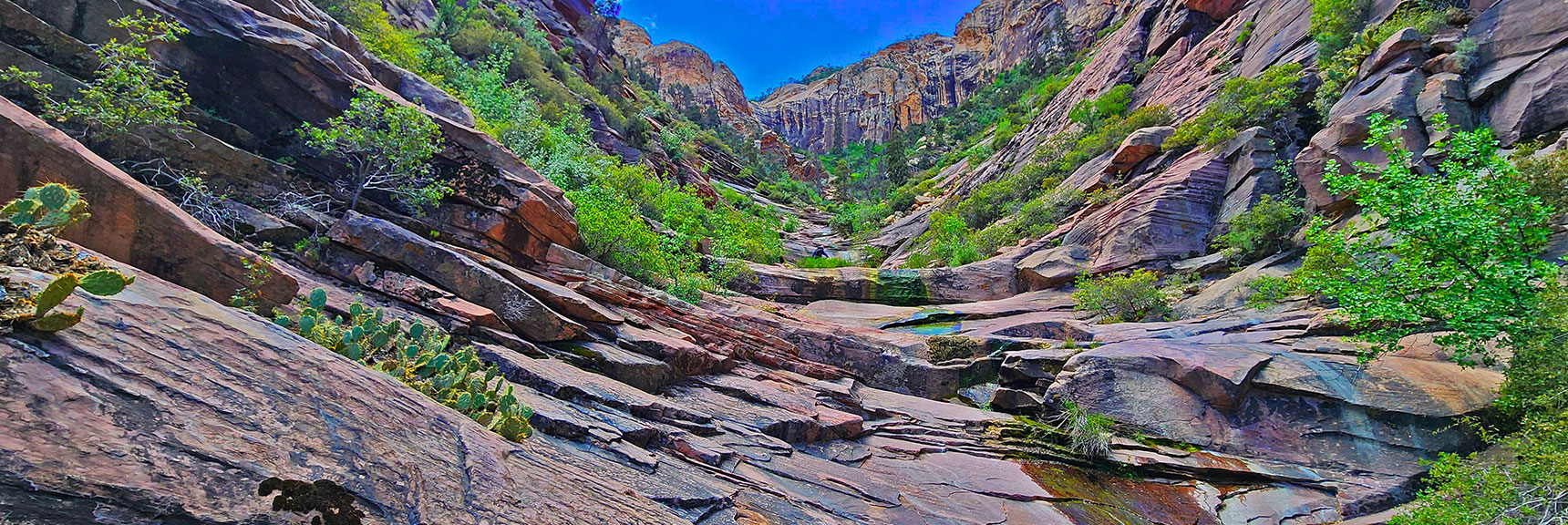 Entering Terrace Canyon | Rainbow Mt via Pine Creek & Oak Creek Canyons, Nevada