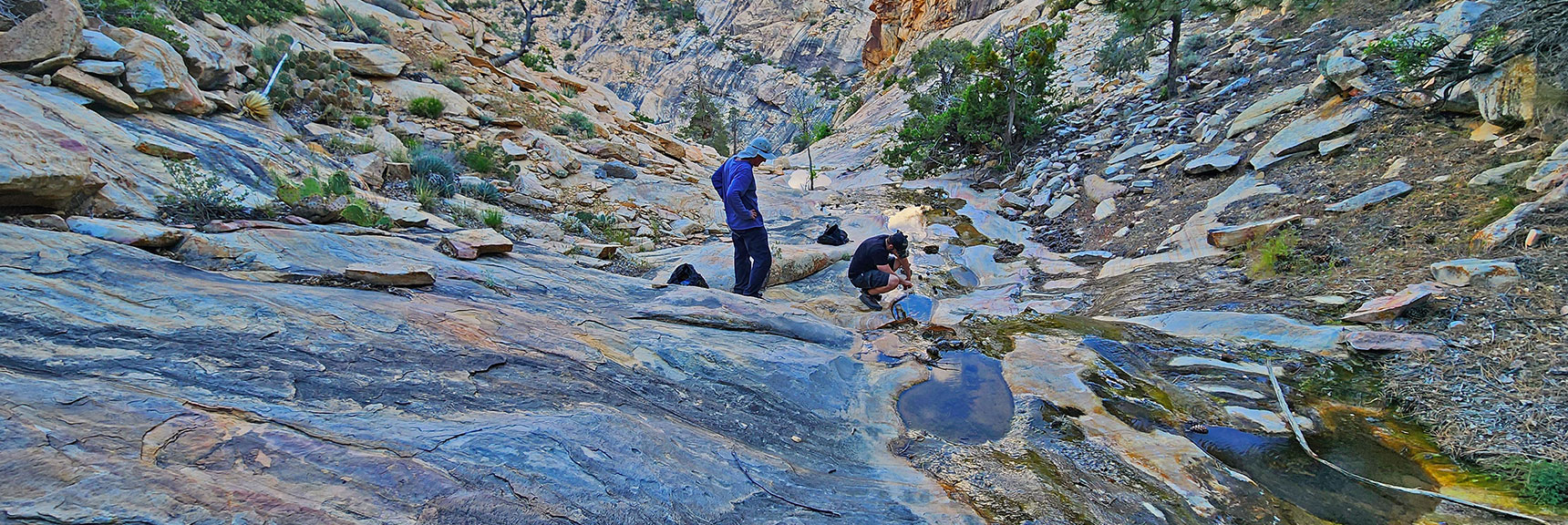 Oak Creek Pools Provide Much Needed Water (this during May) | Rainbow Mt via Pine Creek & Oak Creek Canyons, Nevada