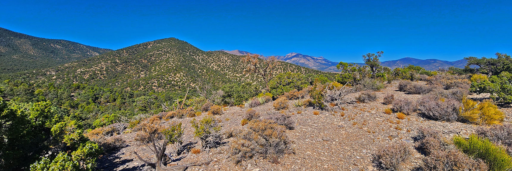 View Back Toward Charleston Wilderness from Approach Ridge | La Madre Ridgeline Grand Crossing | La Madre Mountains Wilderness and Red Rock Canyon NCA, Nevada