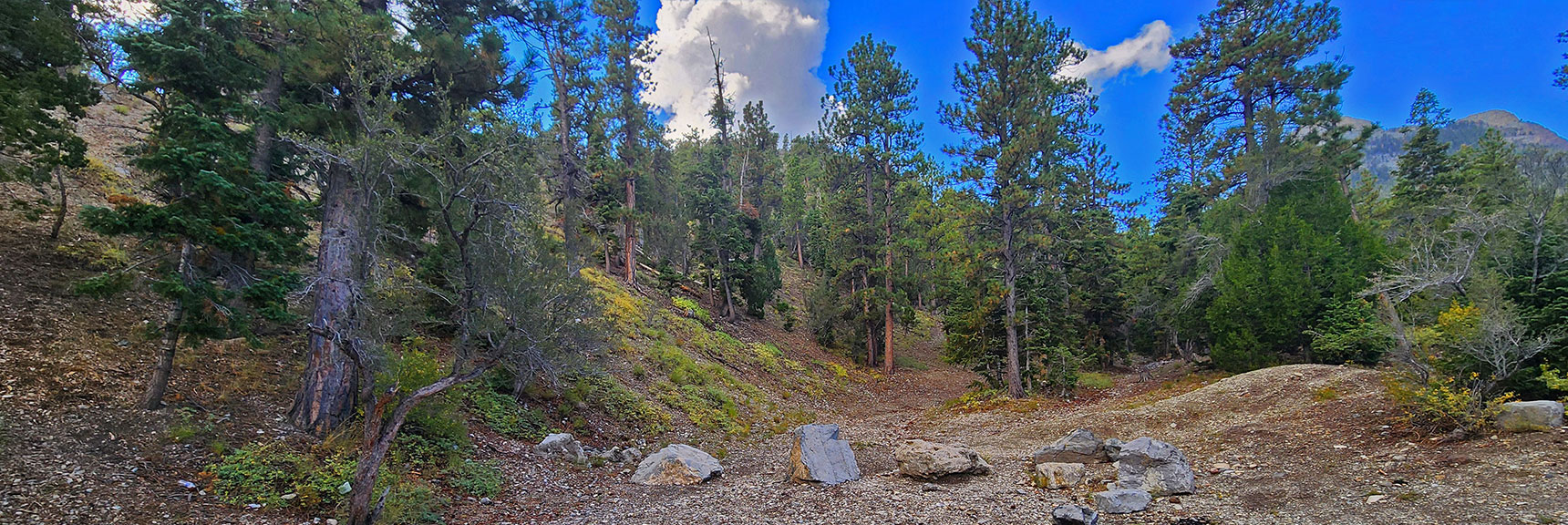 Cross Deer Creek Rd Then Ascend Ridge to the Left | Mummy's Nose East Cliff Plane Crash Site | Mt Charleston Wilderness, Nevada