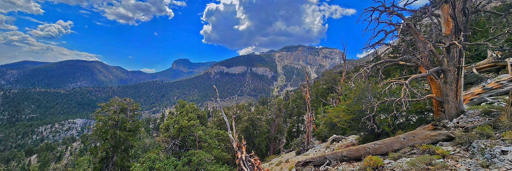 Mummy's Toe and Summit from Higher on the Eastern Ridgeline | Mummy's Nose East Cliff Plane Crash Site | Mt Charleston Wilderness, Nevada