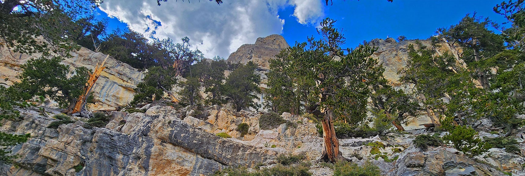 View of Cliffs at Gully Summit. Main Wreckage Possibly Up There. | Mummy's Nose East Cliff Plane Crash Site | Mt Charleston Wilderness, Nevada