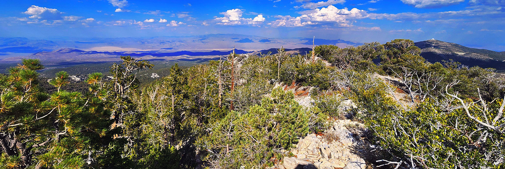 Descending Eastern Ridge. Distant Sheep Range is Navigation Guide | Mummy's Nose East Cliff Plane Crash Site | Mt Charleston Wilderness, Nevada