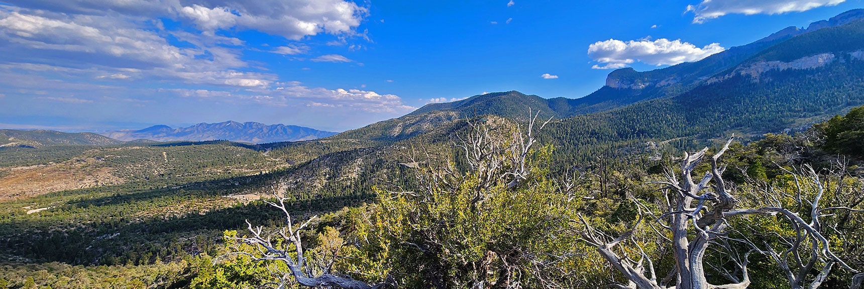 Cougar Ridge in Foreground Leads to Mummy Spring Area | Mummy's Nose East Cliff Plane Crash Site | Mt Charleston Wilderness, Nevada
