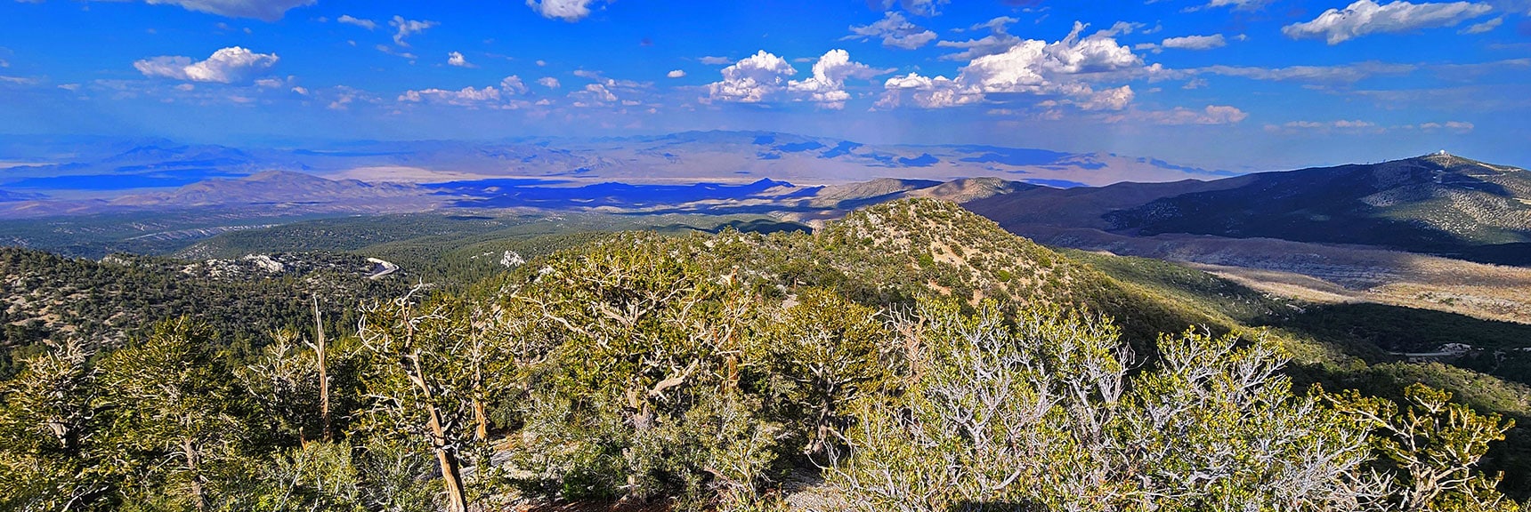 View Down Lower Eastern Ridge Toward Sheep Range & Angel Peak | Mummy's Nose East Cliff Plane Crash Site | Mt Charleston Wilderness, Nevada