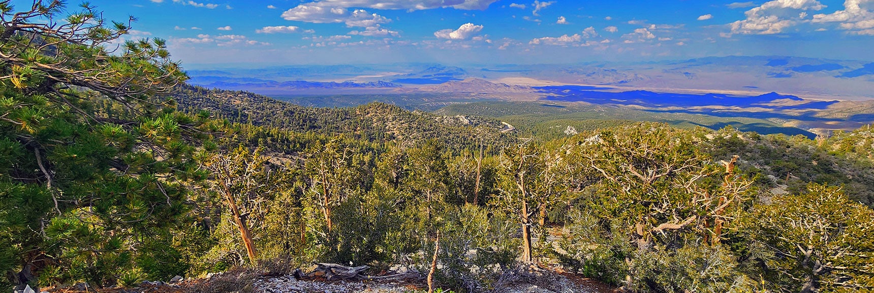 View Up the Hwy 95 Corridor. Desert Viewpoint Visible on Deer Creek Road | Mummy's Nose East Cliff Plane Crash Site | Mt Charleston Wilderness, Nevada