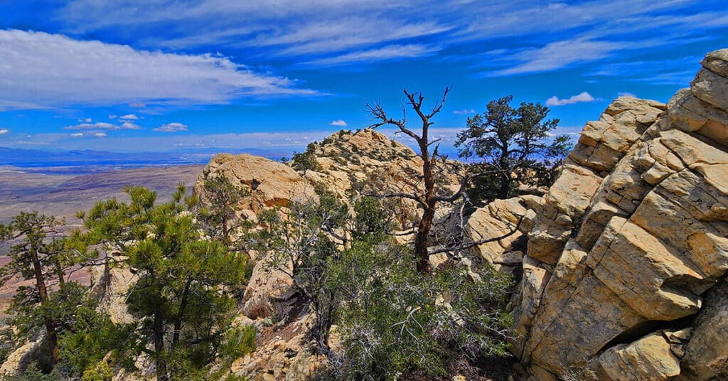 Indecision Peak Summit | Rainbow Mountain Wilderness, Nevada