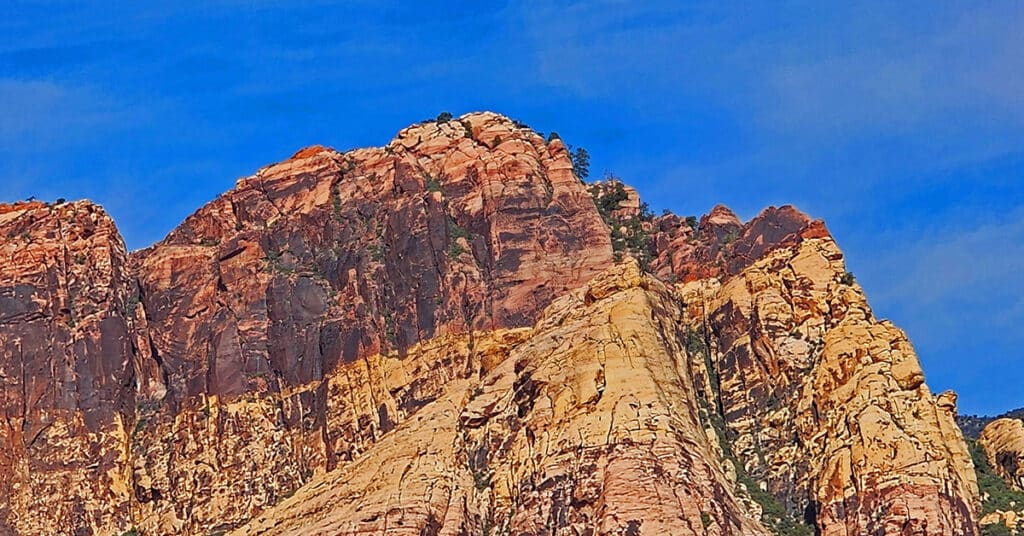 Juniper Peak Summit | Rainbow Mountain Wilderness, Nevada