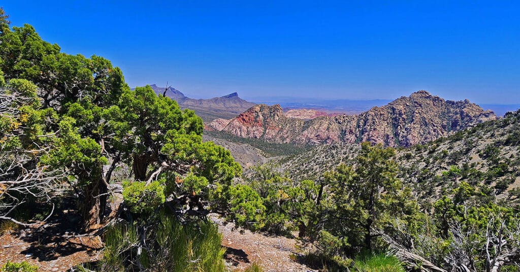 La Madre Springs West Ridge Loop | La Madre Mountains Wilderness, Nevada