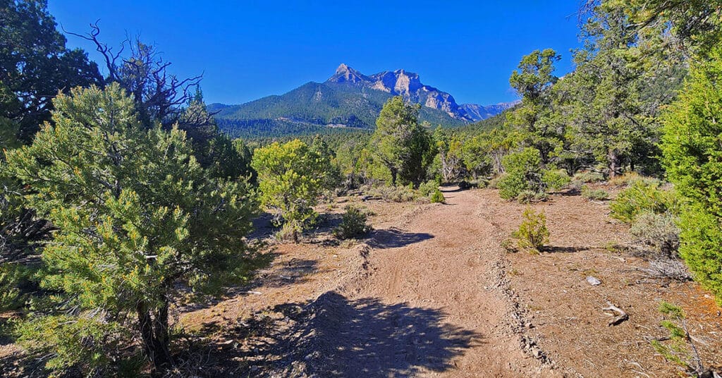 Sawmill Loop Trail | Sawmill Trailhead | Lee Canyon, Nevada