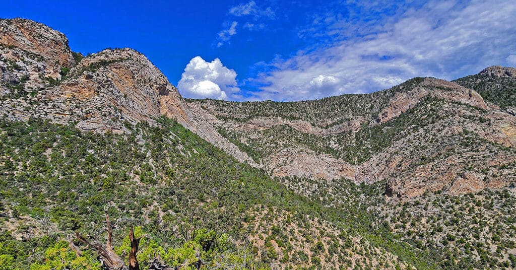 Switchback Spring Loops Intro | La Madre Mountains Wilderness, Nevada
