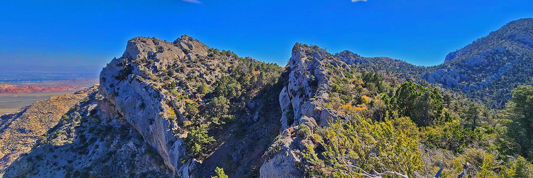 Switchback Ridge | Las Vegas Area Trails