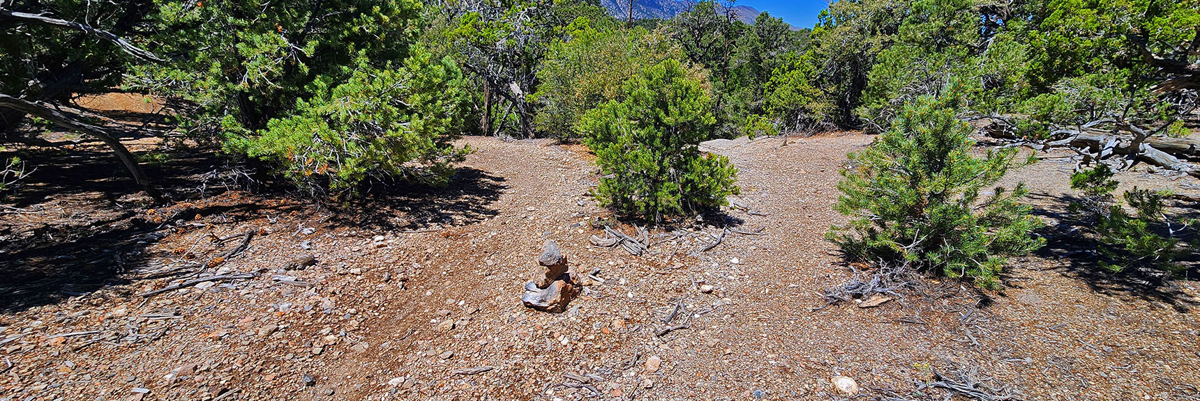 Mud Springs Loop Trail Clockwise | Lee Canyon, Nevada | Las Vegas Area ...