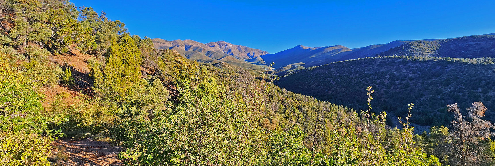High Point View on Lovell Canyon Trail. Next Connection: Lovell Canyon Loop | Wilson Ridge / Sexton Ridge Circuit | Lovell Canyon, Nevada