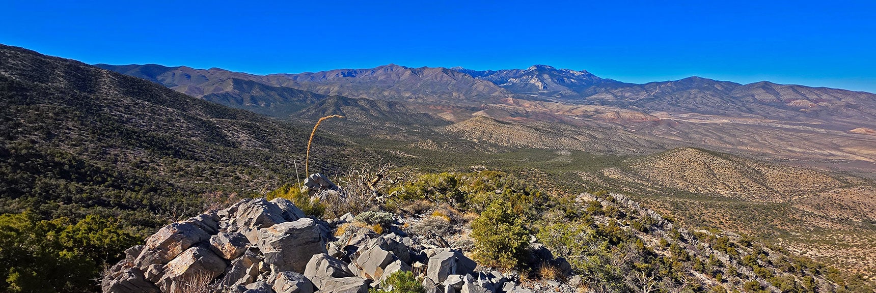 Descend the North Ridgeline West Toward La Madre Campground Below | North Ridge Loop | La Madre Mountains Wilderness, Nevada