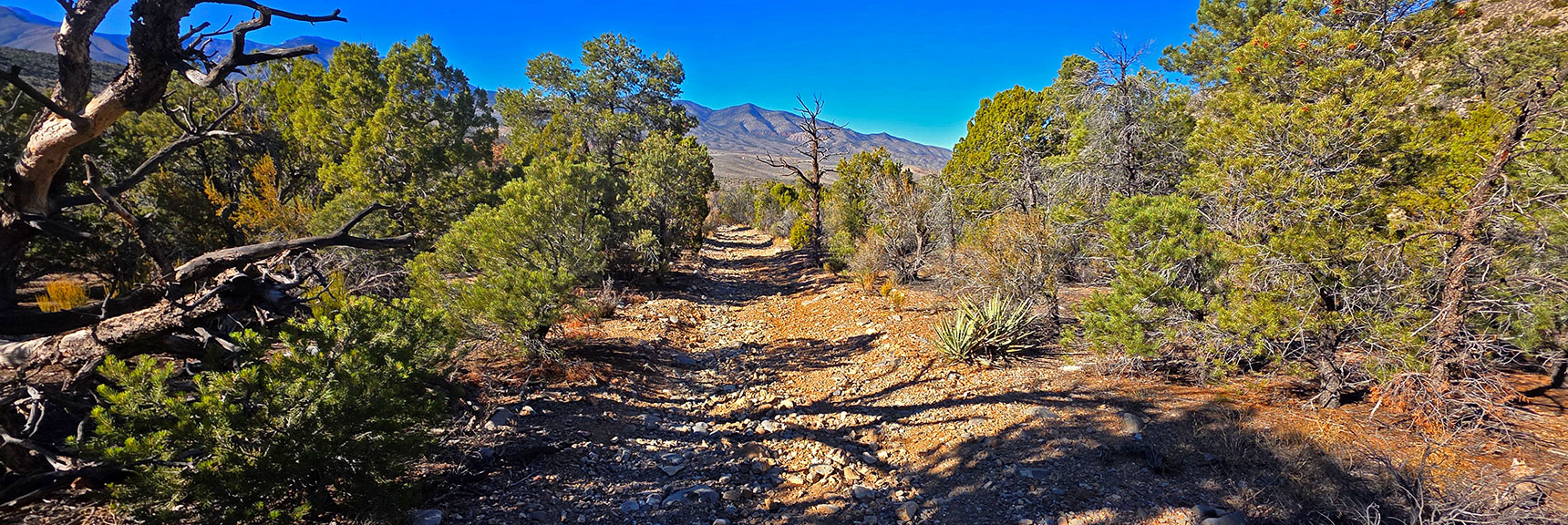 Arrival on La Madre North Access Road Descending Toward Harris Springs Rd. | North Ridge Loop | La Madre Mountains Wilderness, Nevada