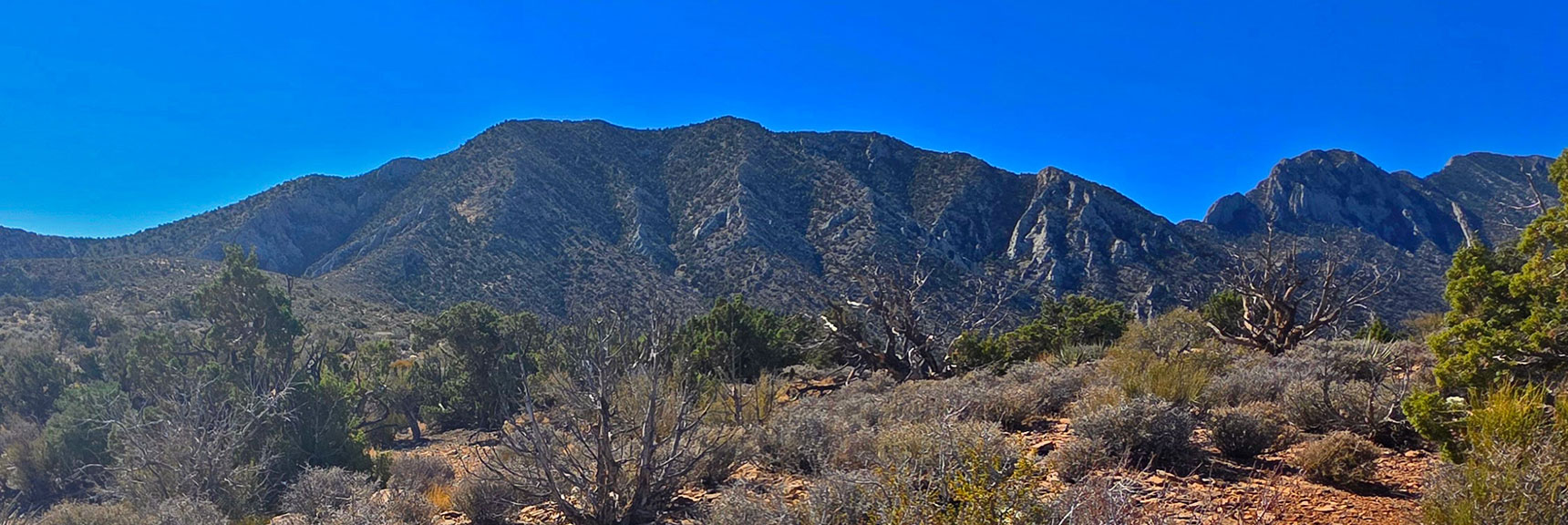 Grand Crossing Between Harris Springs Canyon and Little Red Rock | La Madre Ridgeline East Saddle | La Madre Mountains Wilderness, Nevada