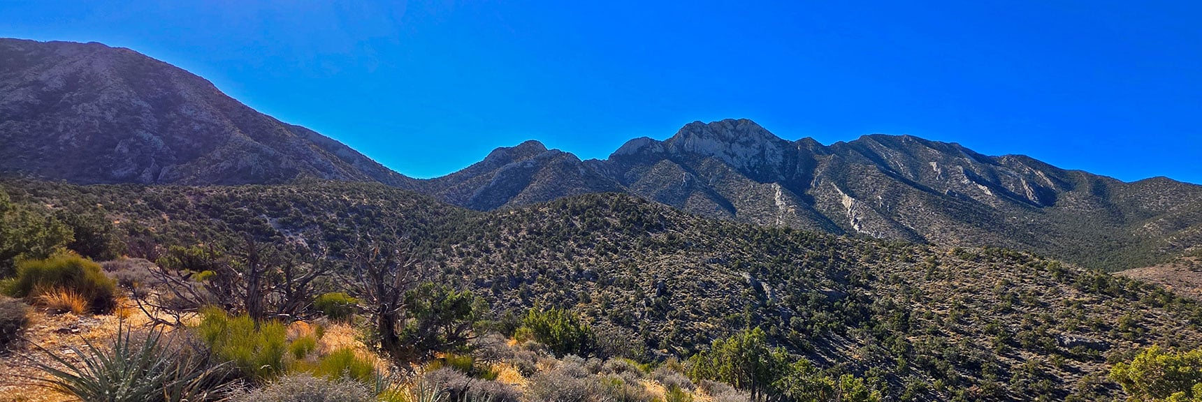 The Saddle is Located on the Ridgeline Between East La Madre Peak and Peak 6826 | La Madre Ridgeline East Saddle | La Madre Mountains Wilderness, Nevada