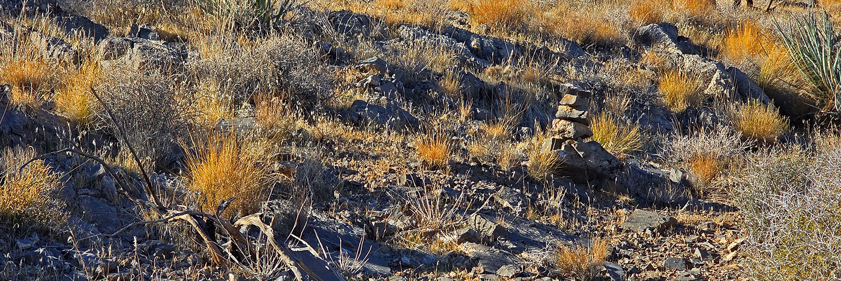 Curiously, There is a Well Cairned Trail Up the Approach Ridge. | La Madre Ridgeline East Saddle | La Madre Mountains Wilderness, Nevada