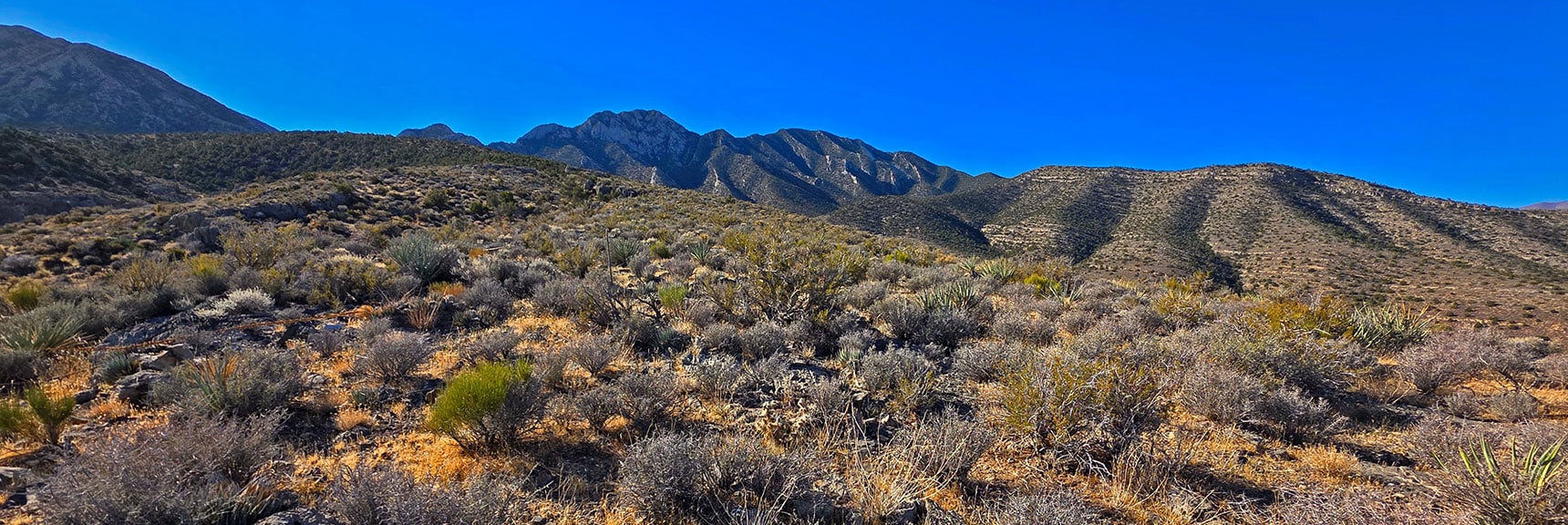 That Large Ridgeline to the West is the La Madre Mt. North Approach Ridgeline. | La Madre Ridgeline East Saddle | La Madre Mountains Wilderness, Nevada