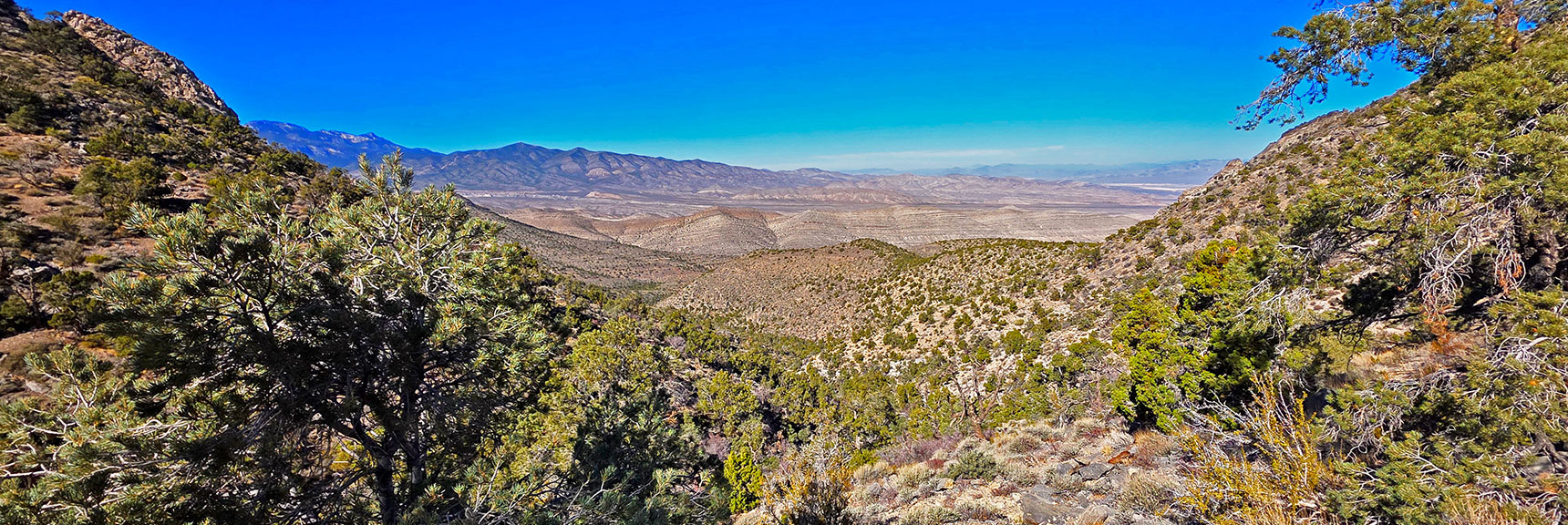 Another View Down the Saddle Gully and Final Approach | La Madre Ridgeline East Saddle | La Madre Mountains Wilderness, Nevada