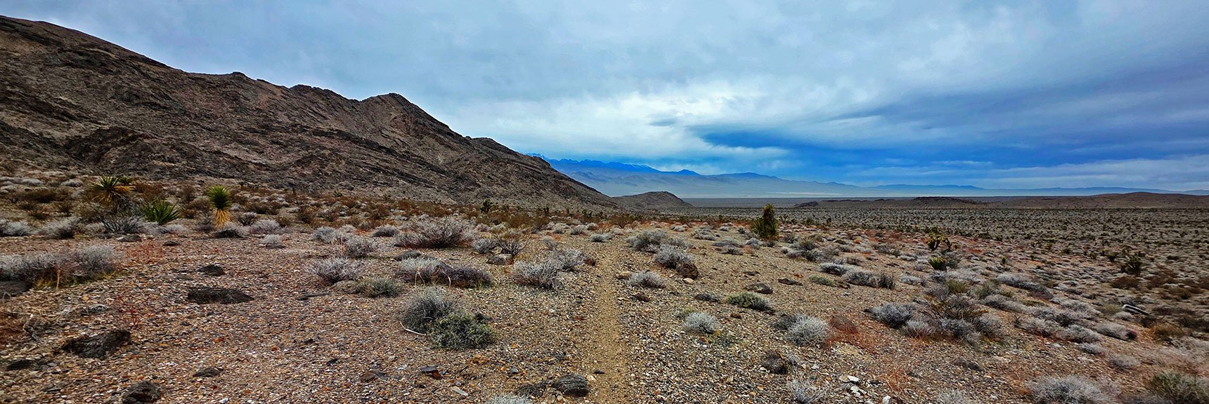 Limited by Time, Descended to Road and Trail to Complete Loop. | Castle Rock Loop | Desert National Wildlife Refuge, Nevada