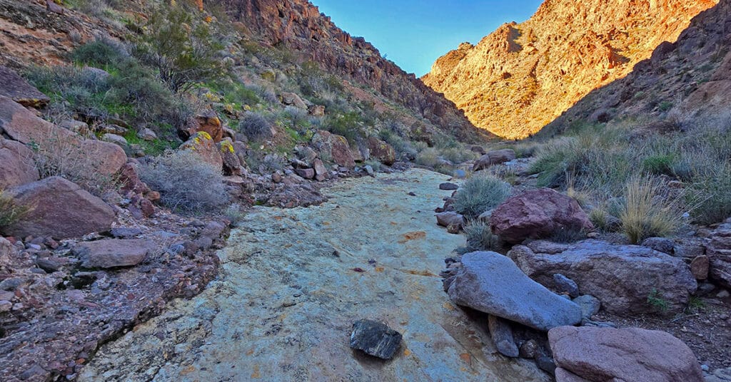 Lonesome Peak West Canyon Loop | Eldorado Wilderness, Nevada