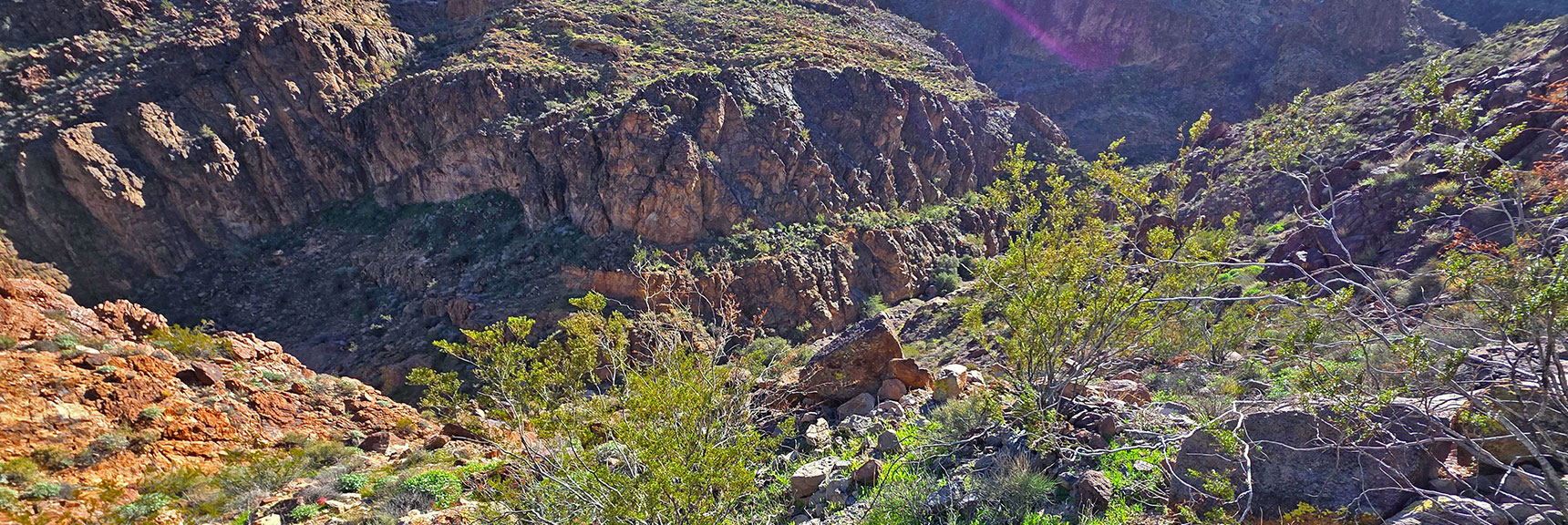 Higher View Back Down to West Canyon. | Lonesome Peak West Canyon Loop | Eldorado Wilderness, Nevada