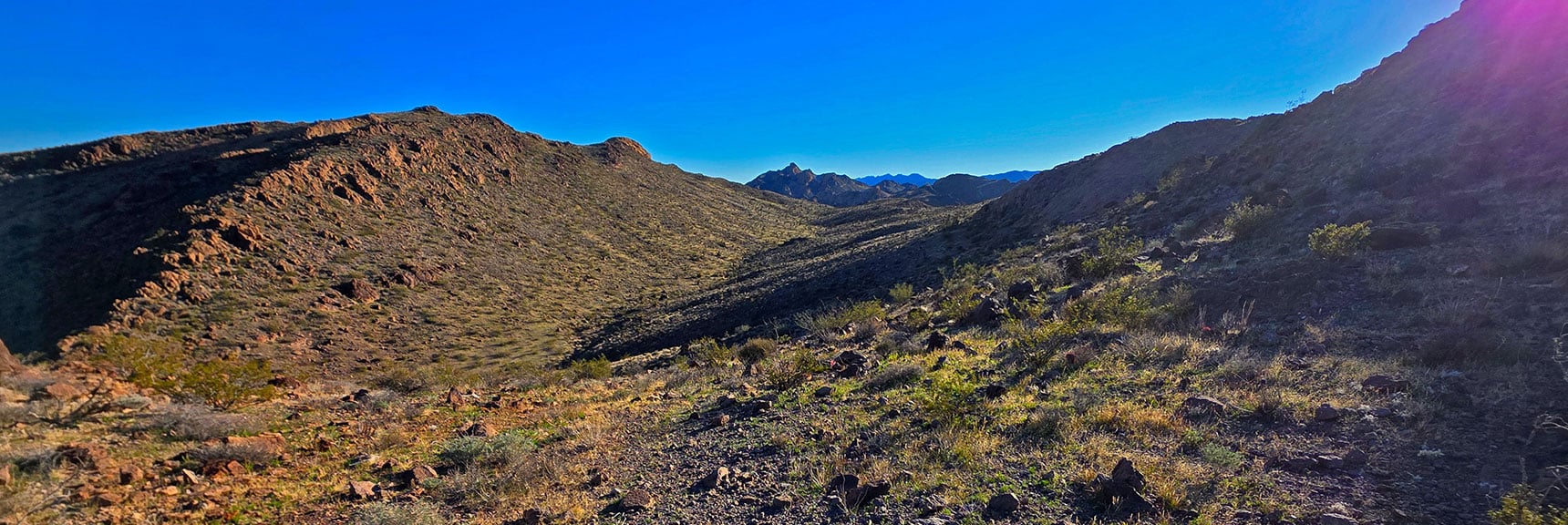 Ascend This Canyon Then Traverse High Ridge Beyond. | Lonesome Peak West Canyon Loop | Eldorado Wilderness, Nevada