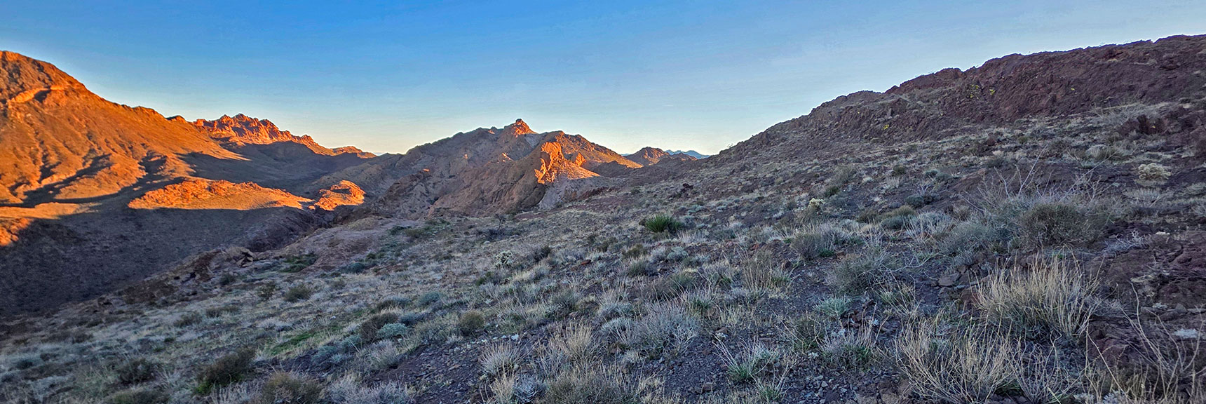 Now Traversing High Upper West Ridge. West Canyon Below (right). | Lonesome Peak West Canyon Loop | Eldorado Wilderness, Nevada