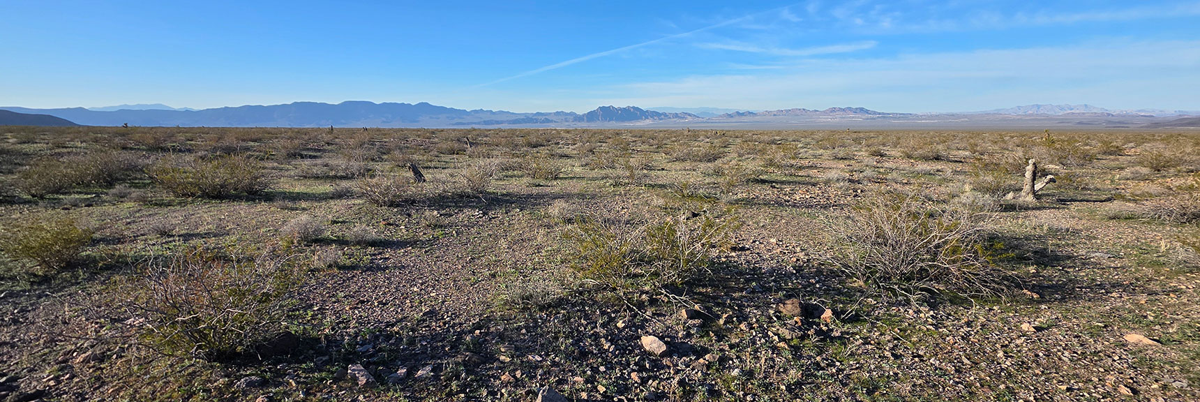 Final Evening View Back Toward Boulder City & River Mts. | Mohave Overlook | Eldorado Wilderness, Nevada