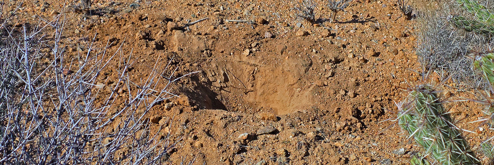 Hole Probably Dug by Coyote Searching for a Ground Squirrel | Wee Thump Joshua Tree Wilderness, Nevada