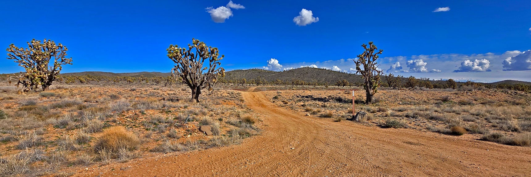 Continue on North Road Which Then Curves Right onto East Road | Wee Thump Joshua Tree Wilderness, Nevada