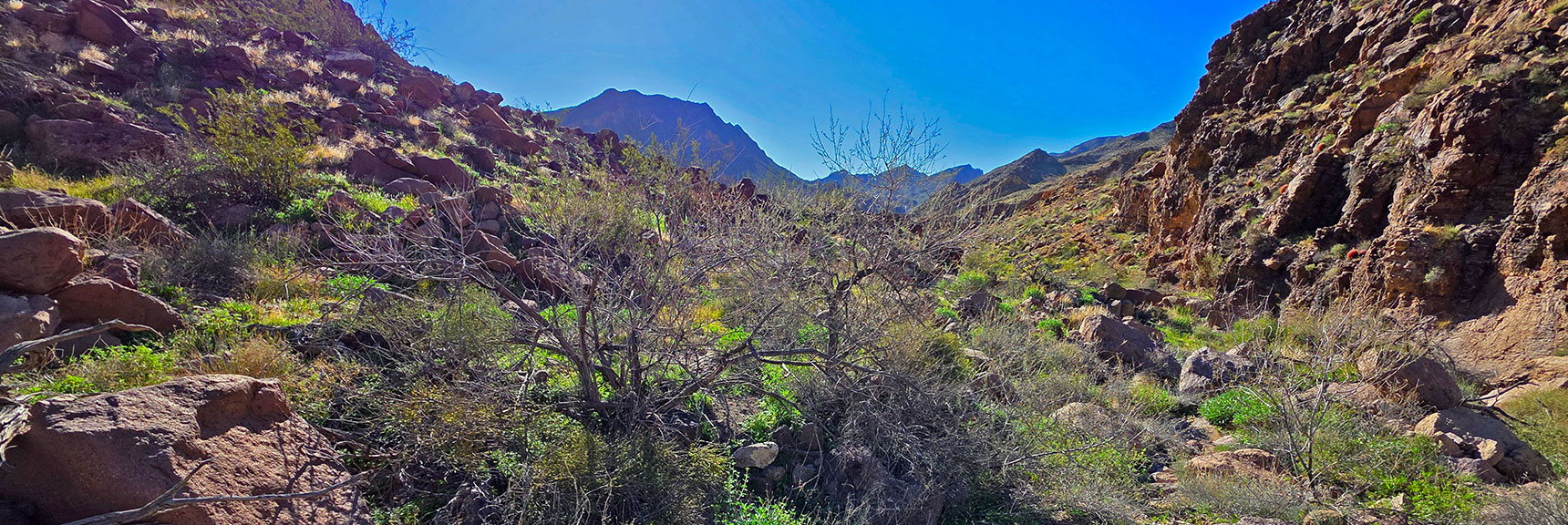 Boulder Stretch Just Below Initial Slope Slows Progress | Lonesome Wash Upper Entrance | Eldorado Wilderness, Nevada